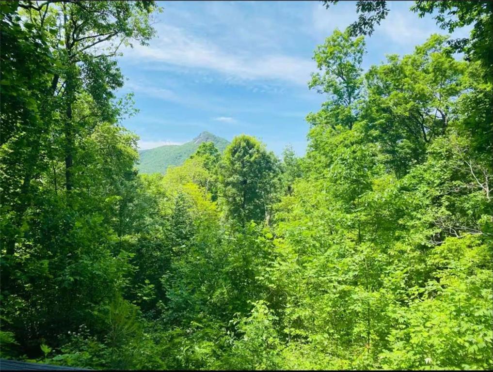 2531 Hunter Road Hiawassee, GA 30546 - Photo 8 of 30 an aerial view of a house with a yard