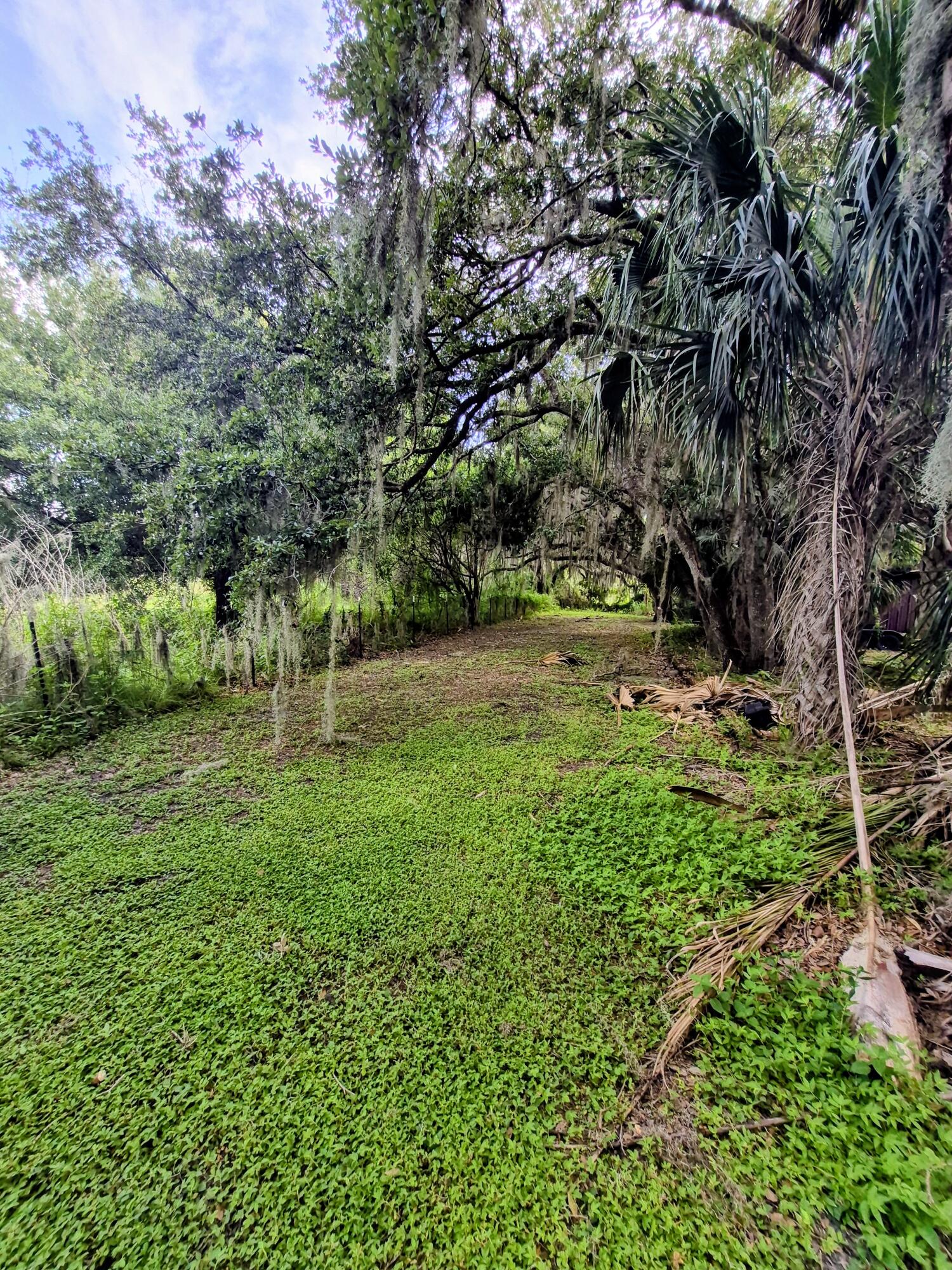 70 Tin House Cove Road Lorida, FL 33857 - Photo 92 of 95 2108