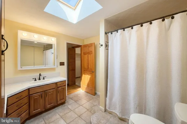 a view of a big yard with plants and large trees