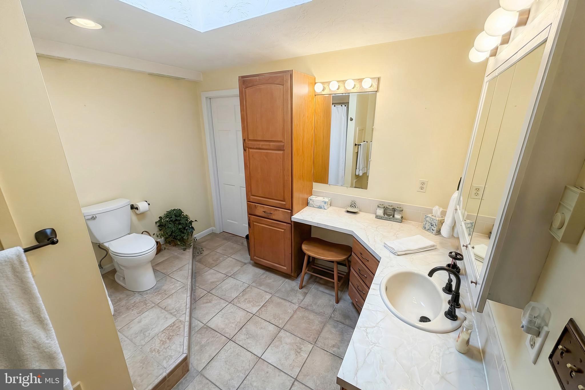 625 Mt Tabor Road Gardners, PA 17324 - Photo 35 of 63 a bathroom with a sink toilet and mirror