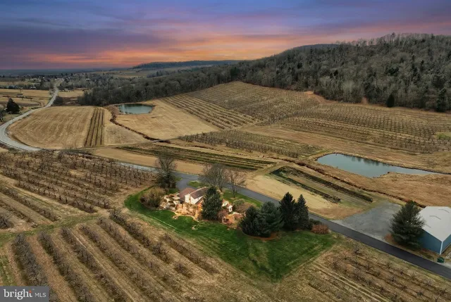 a view of a terrace with a yard