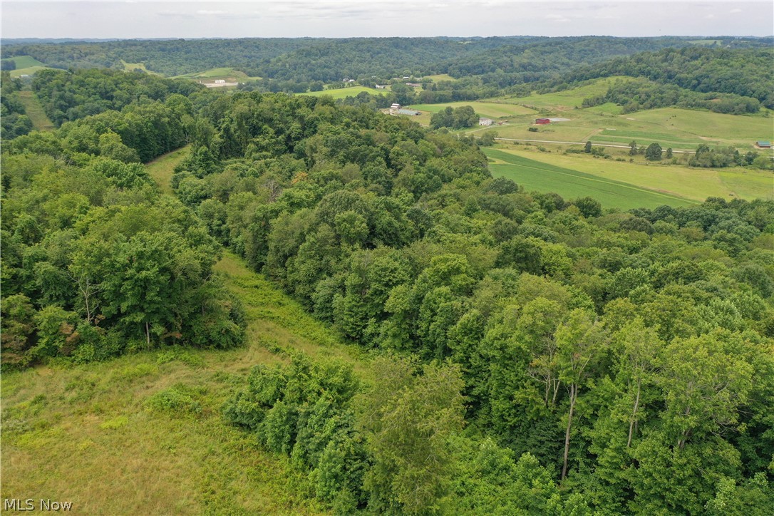 91695 Harrison Road Scio, OH 43988 - Photo 11 of 32 Gallery Image 11