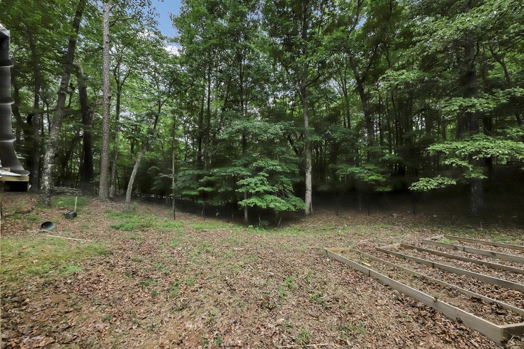 264 Eagle Mountain Drive Ellijay, GA 30540 - Photo 35 of 42