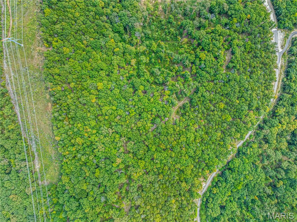 3638 Cedar Haven Drive Pacific, MO 63069 - Photo 6 of 9