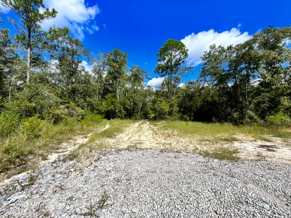 a view of a yard with a tree