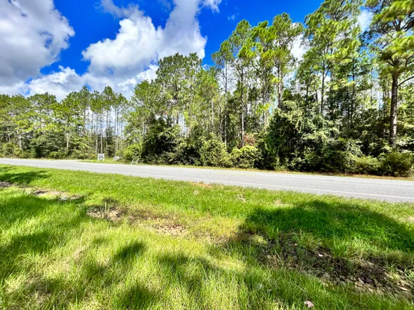 a view of green field