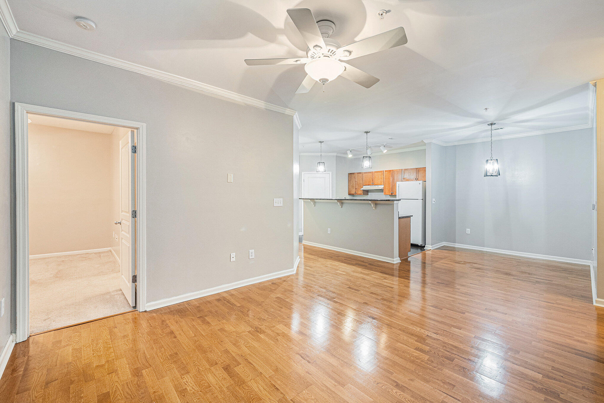300 Bucksley Lane, Unit 102 Charleston, SC 29492 - Photo 8 of 17 003_file_262