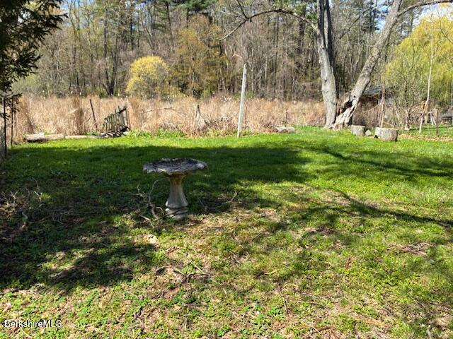 17 High Street Housatonic, MA 01236 - Photo 4 of 17 a garden with trees in the background