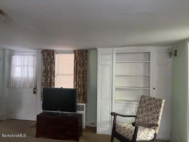 17 High Street Housatonic, MA 01236 - Photo 8 of 17 a room with furniture and a flat screen tv