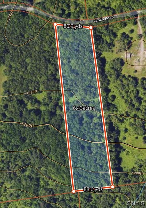 0 Lynch Road Little Falls, NY 13365 - Photo 3 of 4
