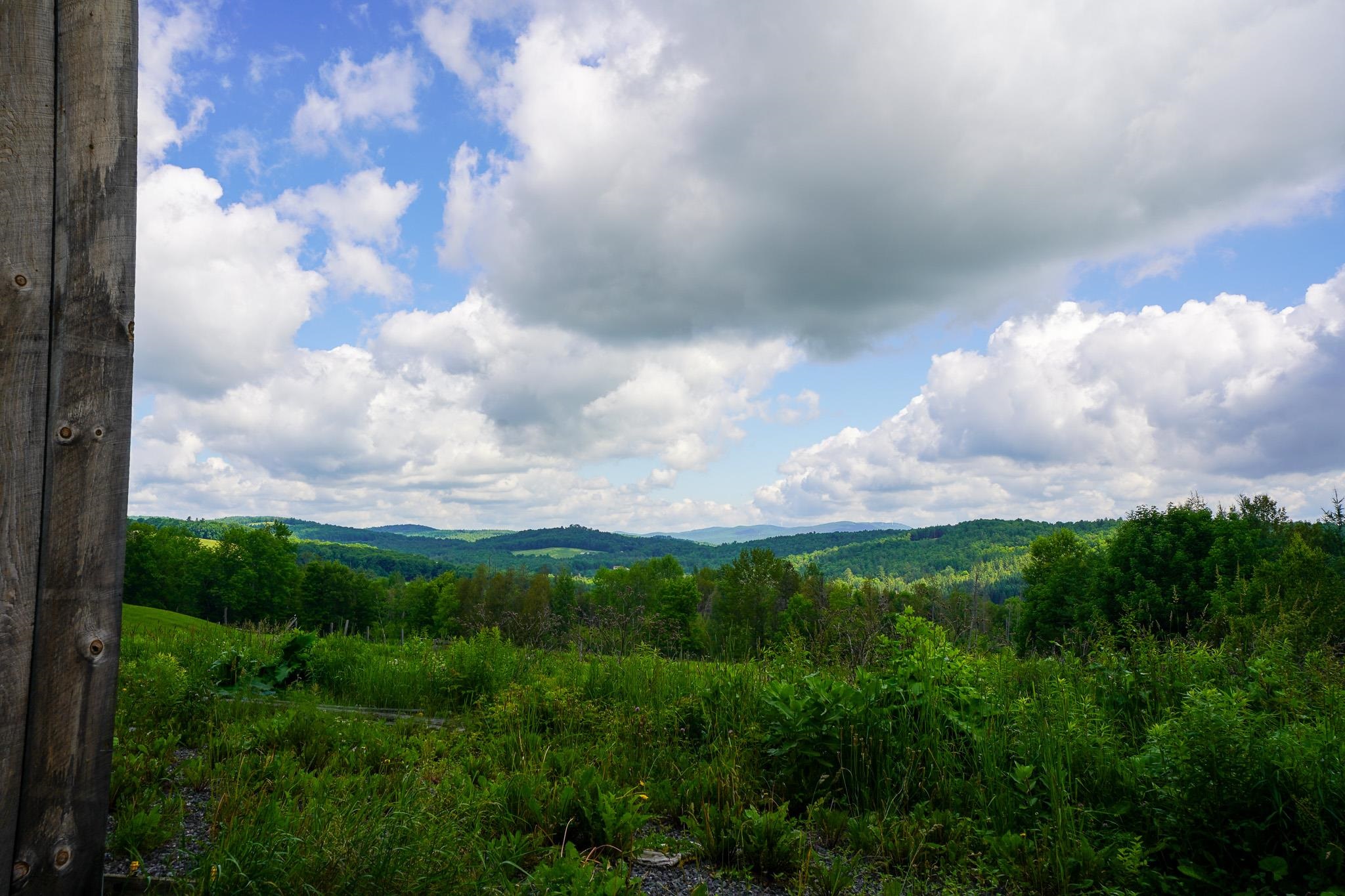 2124 Cold Hill Road Wheelock, VT 05851 - Photo 8 of 12
