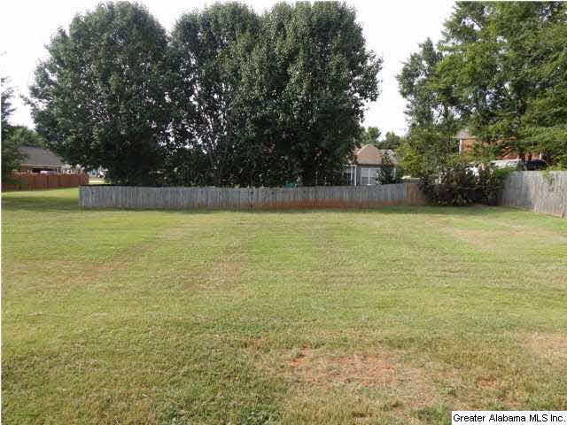 137 Horseshoe Circle Alabaster, AL 35007 - Photo 20 of 21