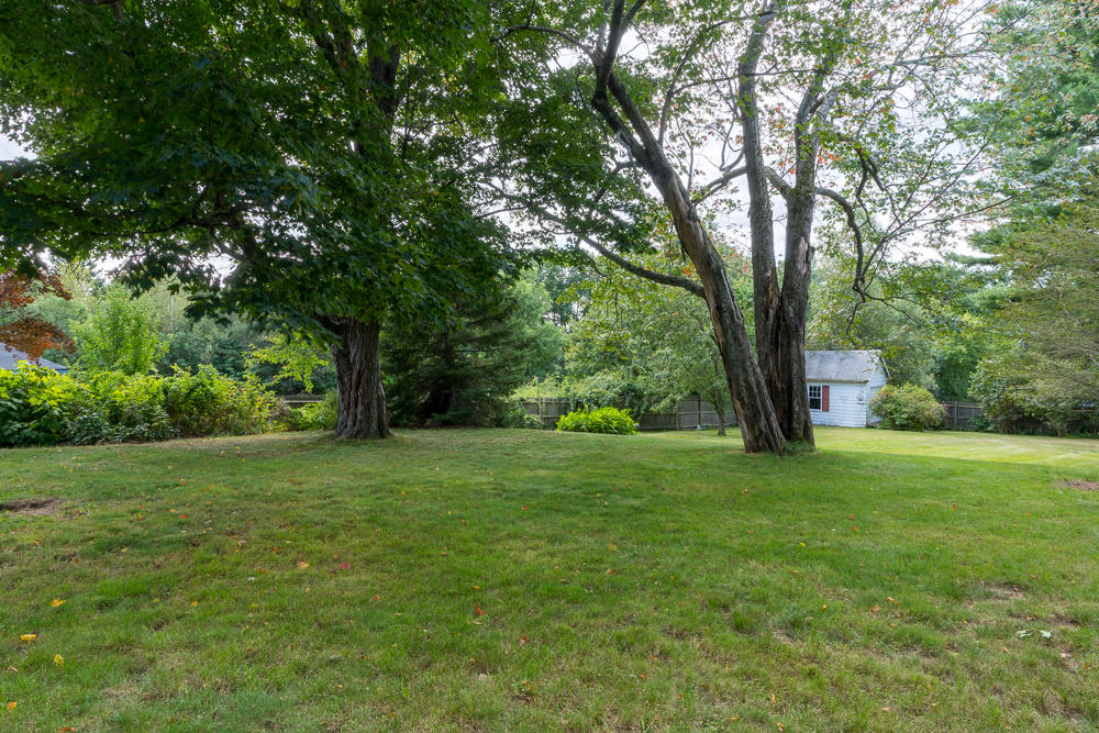 184 Summit Street Portland, ME 04103 - Photo 29 of 29 Large Backyard