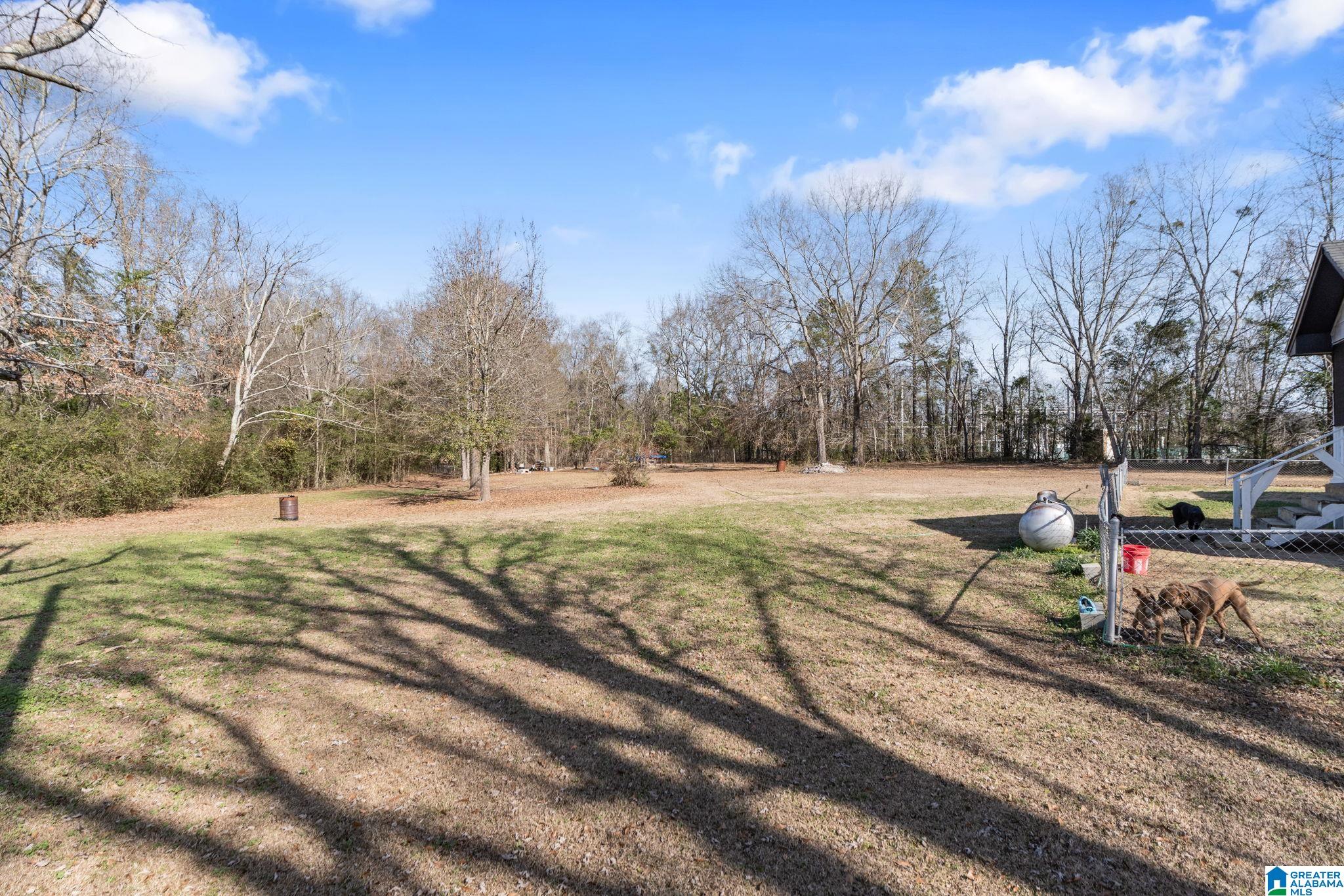6609 County Road 24 Verbena, AL 36091 - Photo 40 of 43
