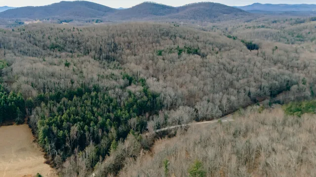 $550,000 | 0 Thomas Farm Road Southeast, Floyd, VA 24091