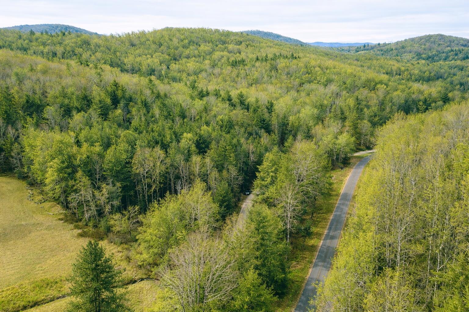 0 Thomas Farm Road Southeast Floyd, VA 24091 - Photo 11 of 11 Jones pic 3