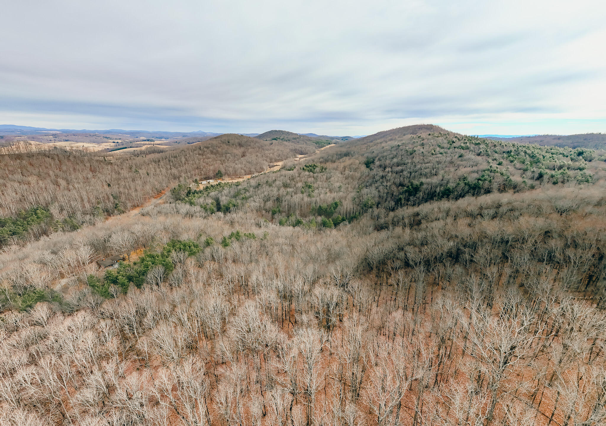 0 Thomas Farm Road Southeast Floyd, VA 24091 - Photo 13 of 20 DJI_20260116094701_0019_D