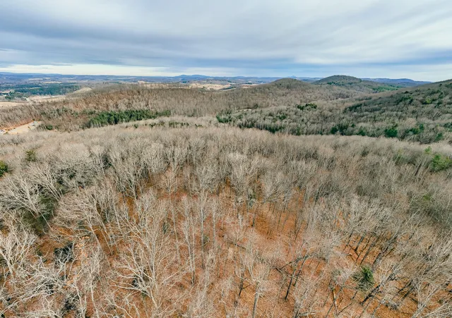 $550,000 | 0 Thomas Farm Road Southeast, Floyd, VA 24091