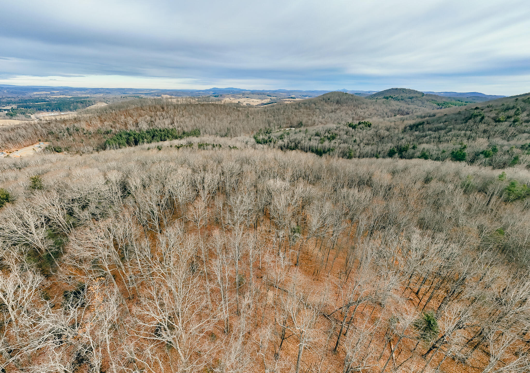 0 Thomas Farm Road Southeast Floyd, VA 24091 - Photo 14 of 20 DJI_20260116094525_0017_D