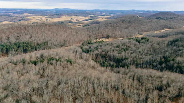 $550,000 | 0 Thomas Farm Road Southeast, Floyd, VA 24091