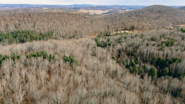 $550,000 | 0 Thomas Farm Road Southeast, Floyd, VA 24091