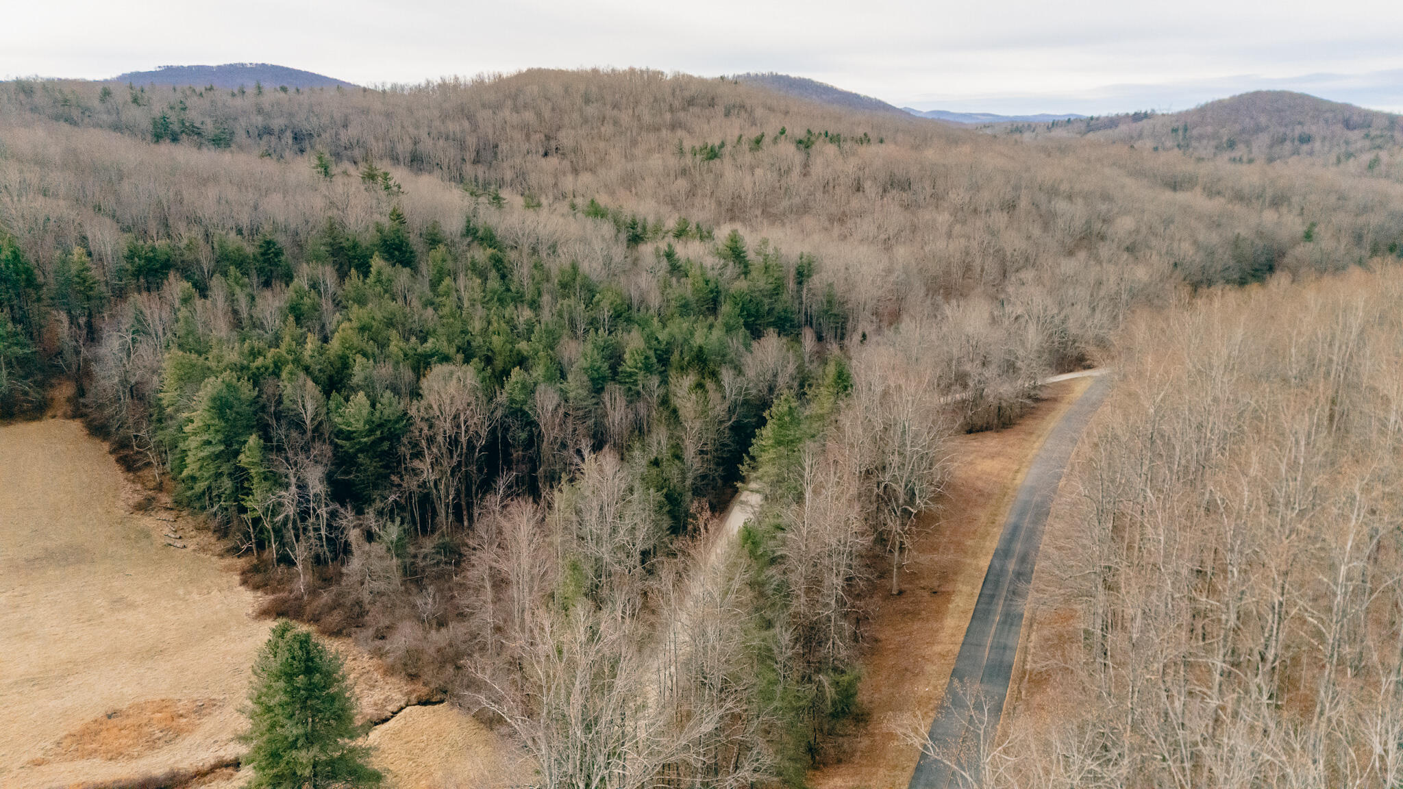 0 Thomas Farm Road Southeast Floyd, VA 24091 - Photo 20 of 20 DJI_20260116094055_0008_D (1)