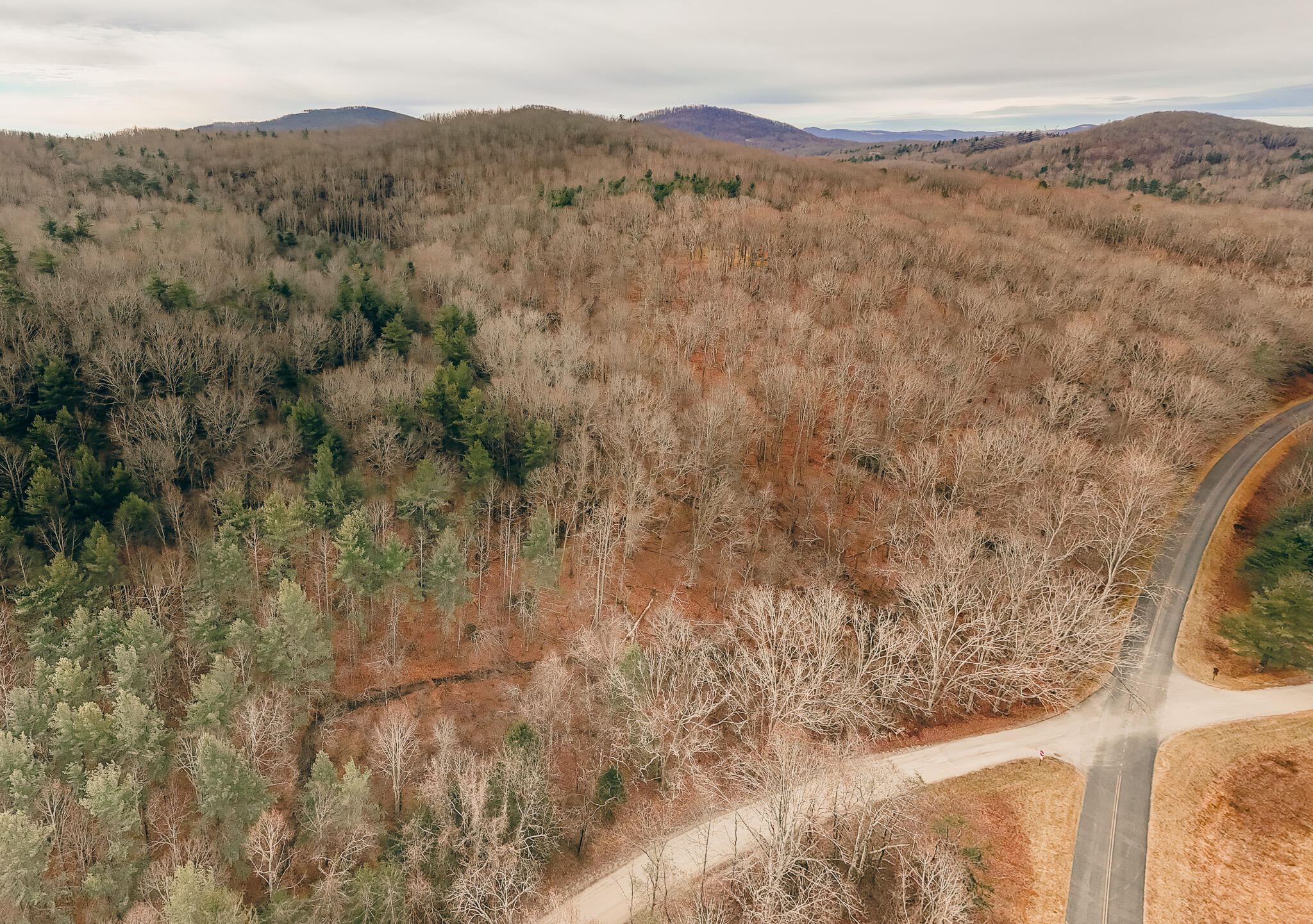 0 Thomas Farm Road Southeast Floyd, VA 24091 - Photo 2 of 20 2 (4)