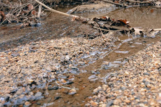 $550,000 | 0 Thomas Farm Road Southeast, Floyd, VA 24091