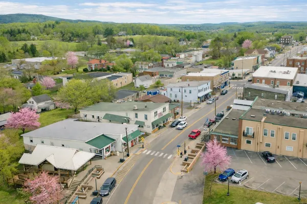 an aerial view of houses covered in trees