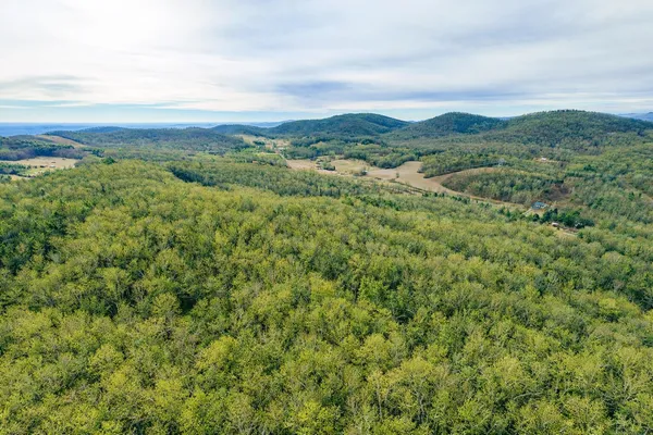 a view of a dry yard with a tree