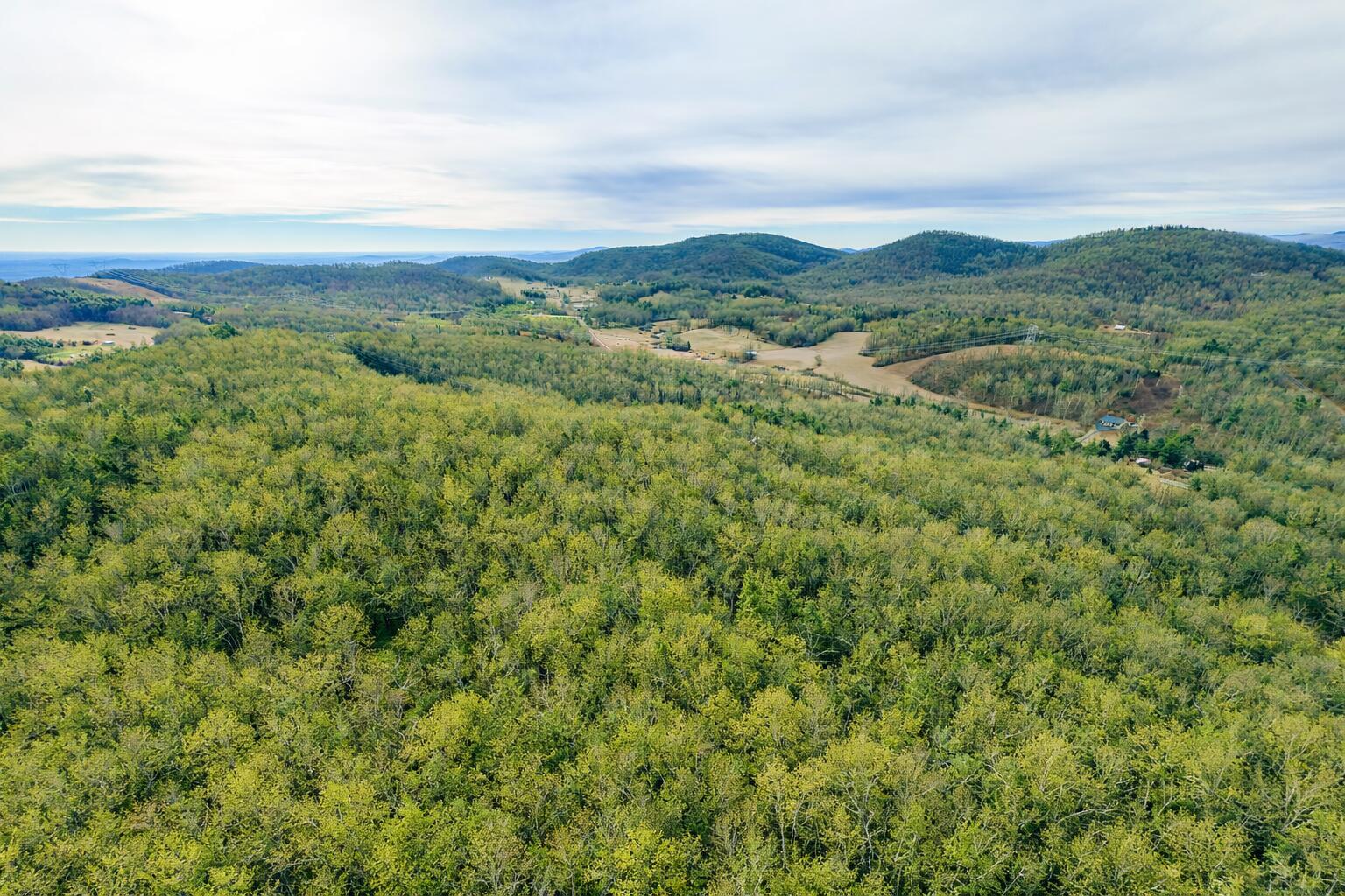 0 Thomas Farm Road Southeast Floyd, VA 24091 - Photo 5 of 11 Jones pic 8