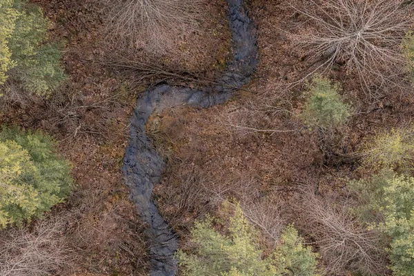 a view of a pathway both side of yard