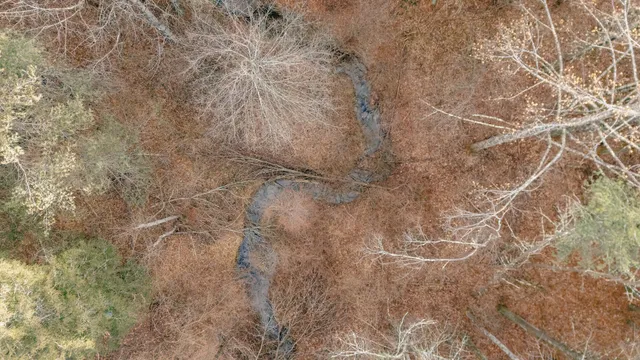 $550,000 | 0 Thomas Farm Road Southeast, Floyd, VA 24091