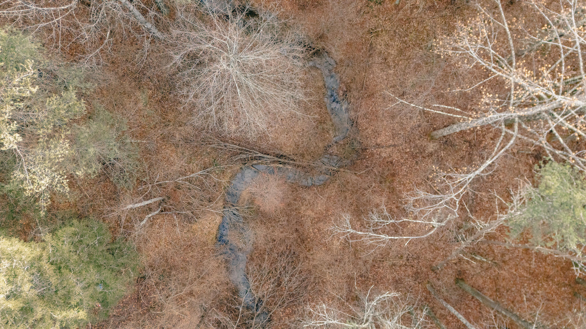 0 Thomas Farm Road Southeast Floyd, VA 24091 - Photo 7 of 20 DJI_20260116095609_0033_D