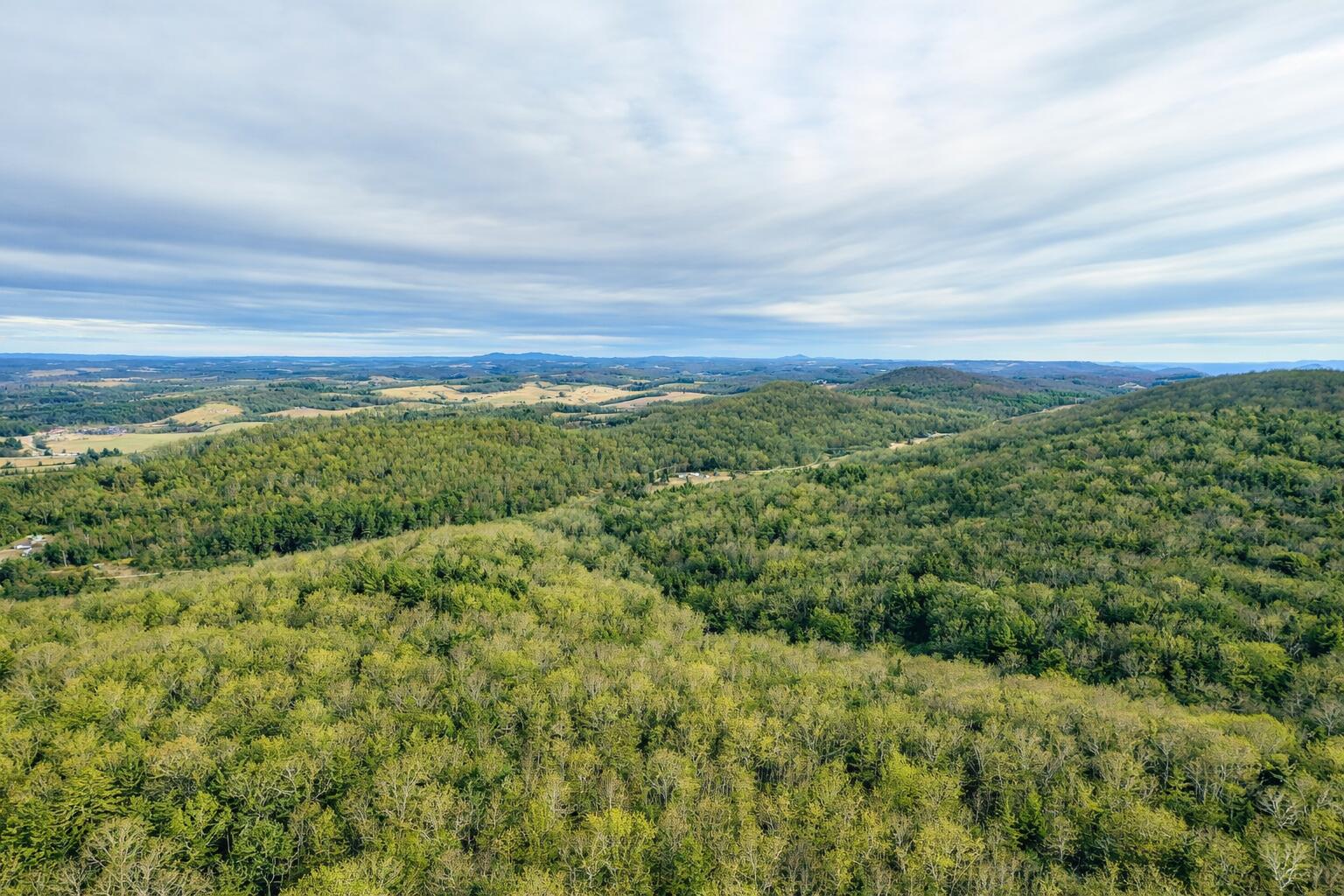 0 Thomas Farm Road Southeast Floyd, VA 24091 - Photo 8 of 11 Jones pic 5