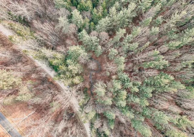 $550,000 | 0 Thomas Farm Road Southeast, Floyd, VA 24091