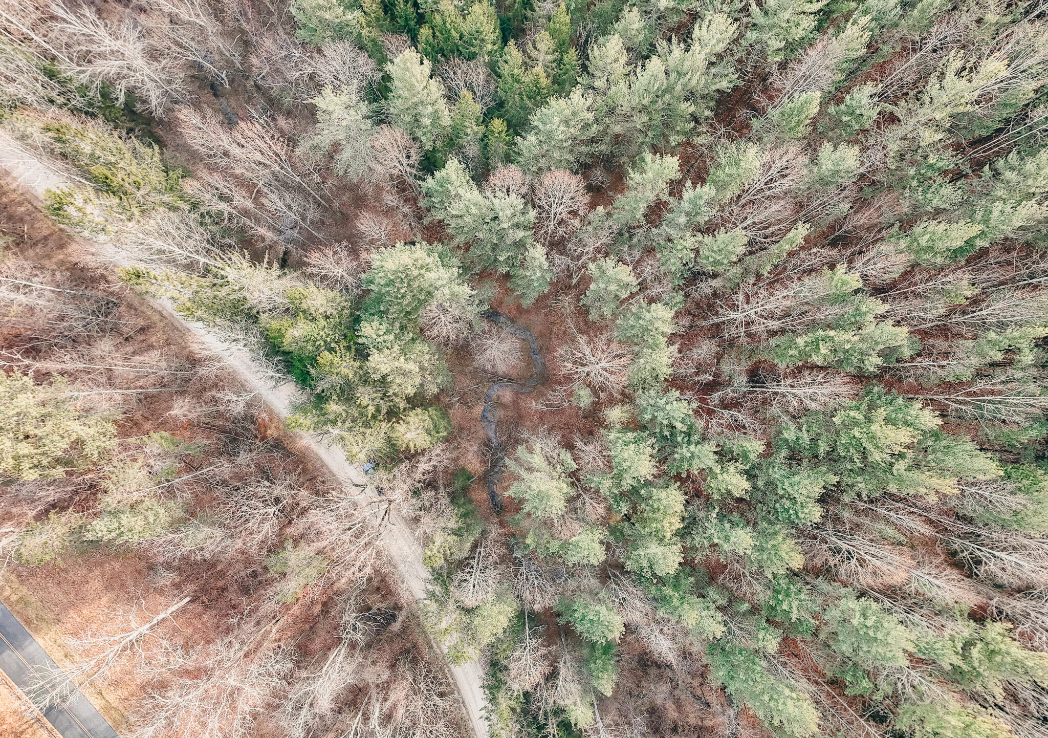 0 Thomas Farm Road Southeast Floyd, VA 24091 - Photo 8 of 20 DJI_20260116095454_0031_D