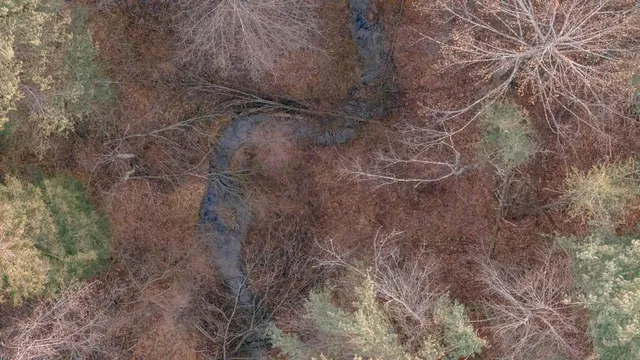 $550,000 | 0 Thomas Farm Road Southeast, Floyd, VA 24091