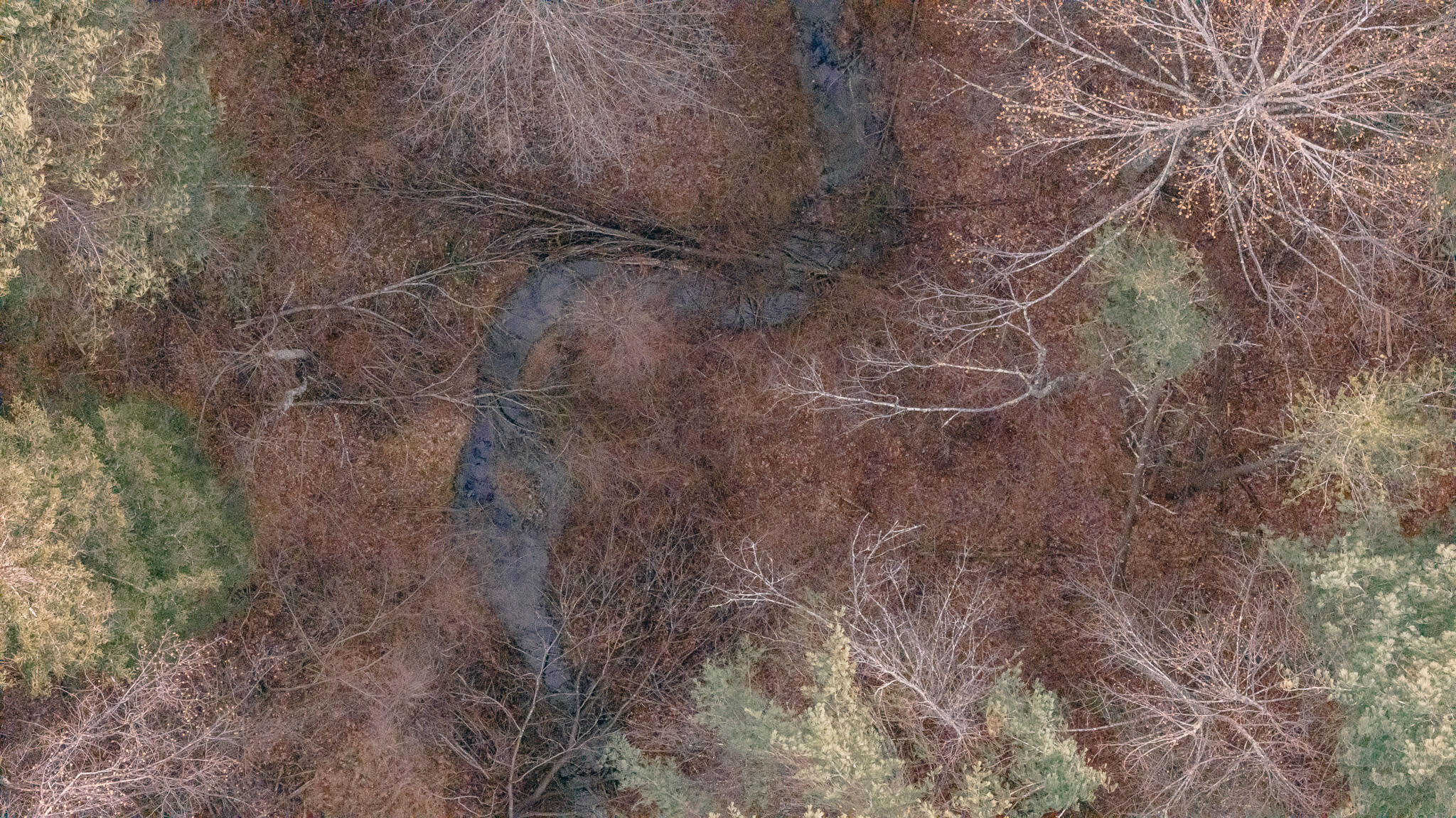 0 Thomas Farm Road Southeast Floyd, VA 24091 - Photo 9 of 20 DJI_20260116095439_0030_D