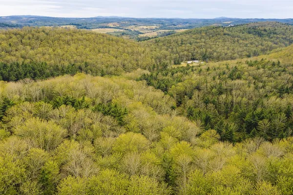 a view of a lake and green valley