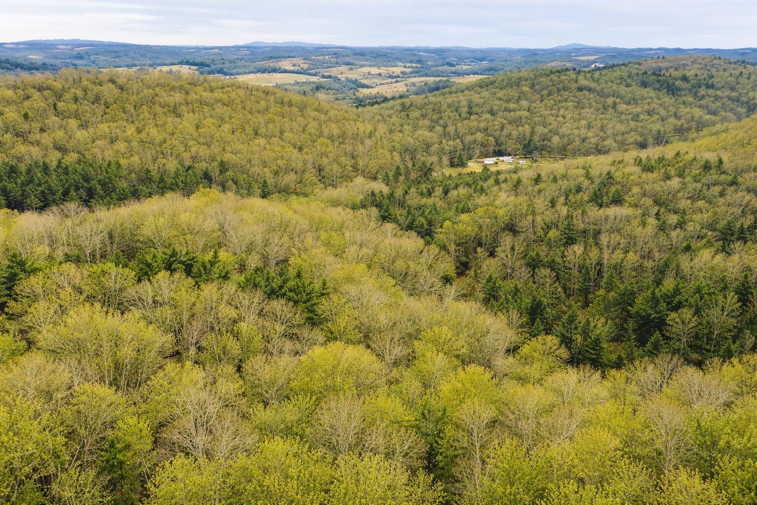 0 Thomas Farm Road Southeast Floyd, VA 24091 - Photo 9 of 11 Jones pic 4