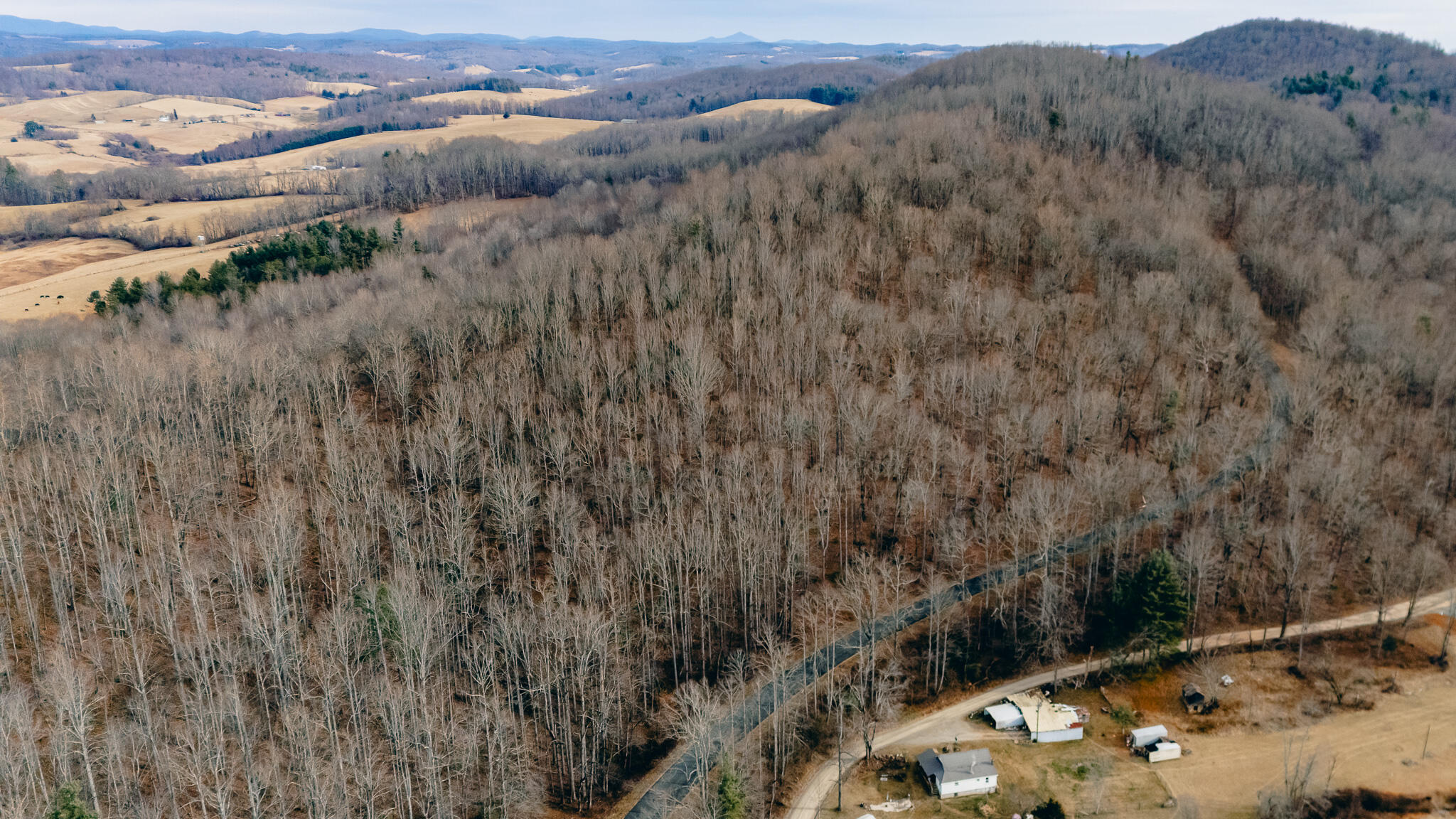 0 Thomas Farm Road Southeast Floyd, VA 24091 - Photo 10 of 20 DJI_20260116095035_0025_D