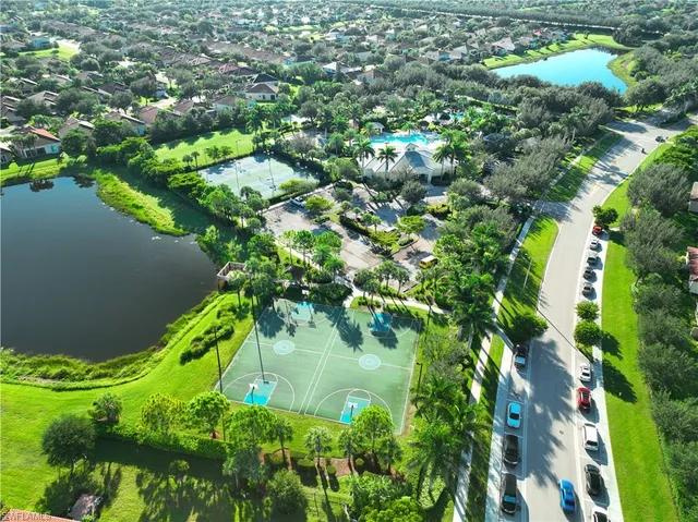 view of a tree with plants