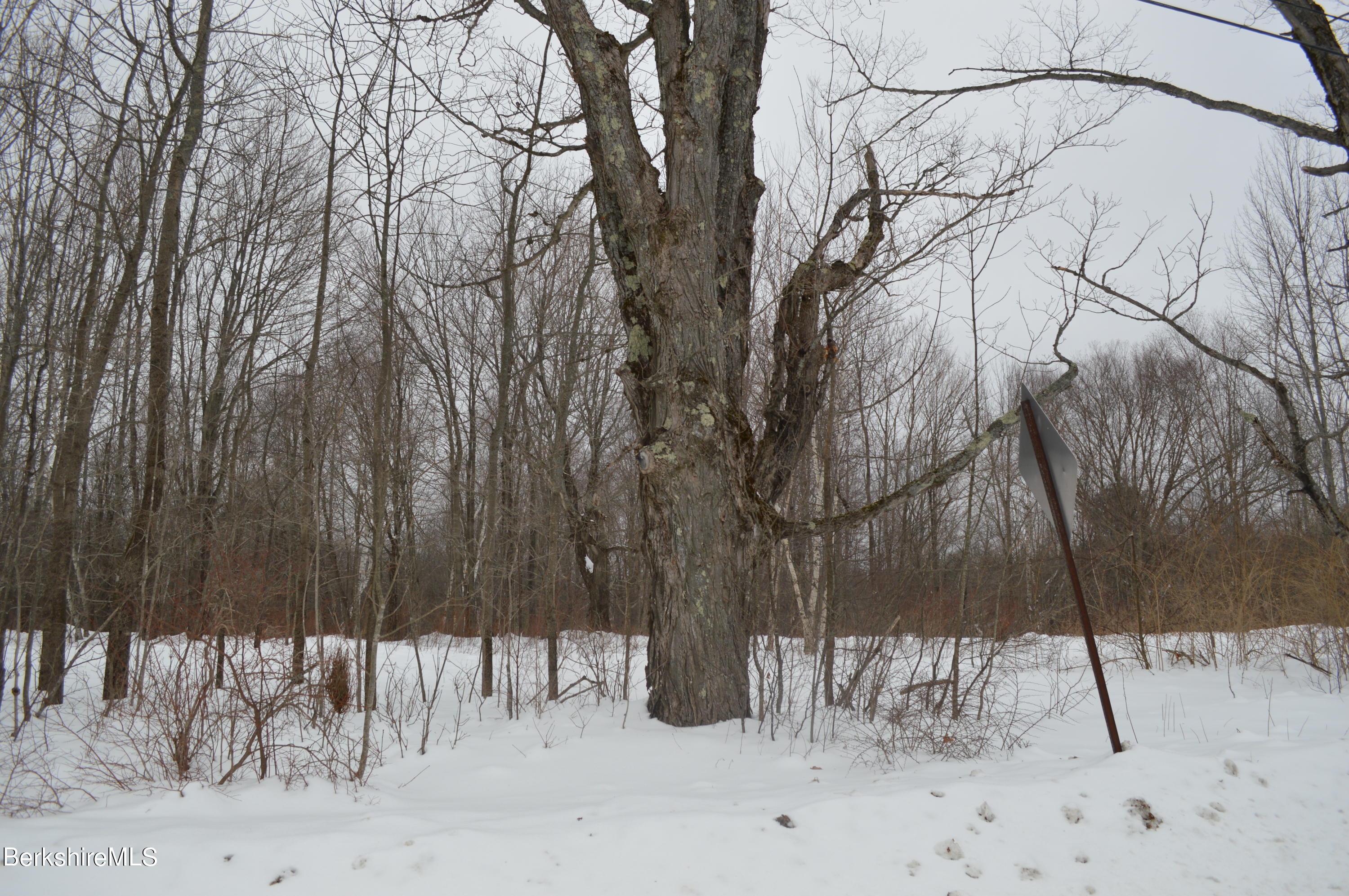 0 Lovers Lane Road Becket, MA 01223 - Photo 11 of 18 Clearings