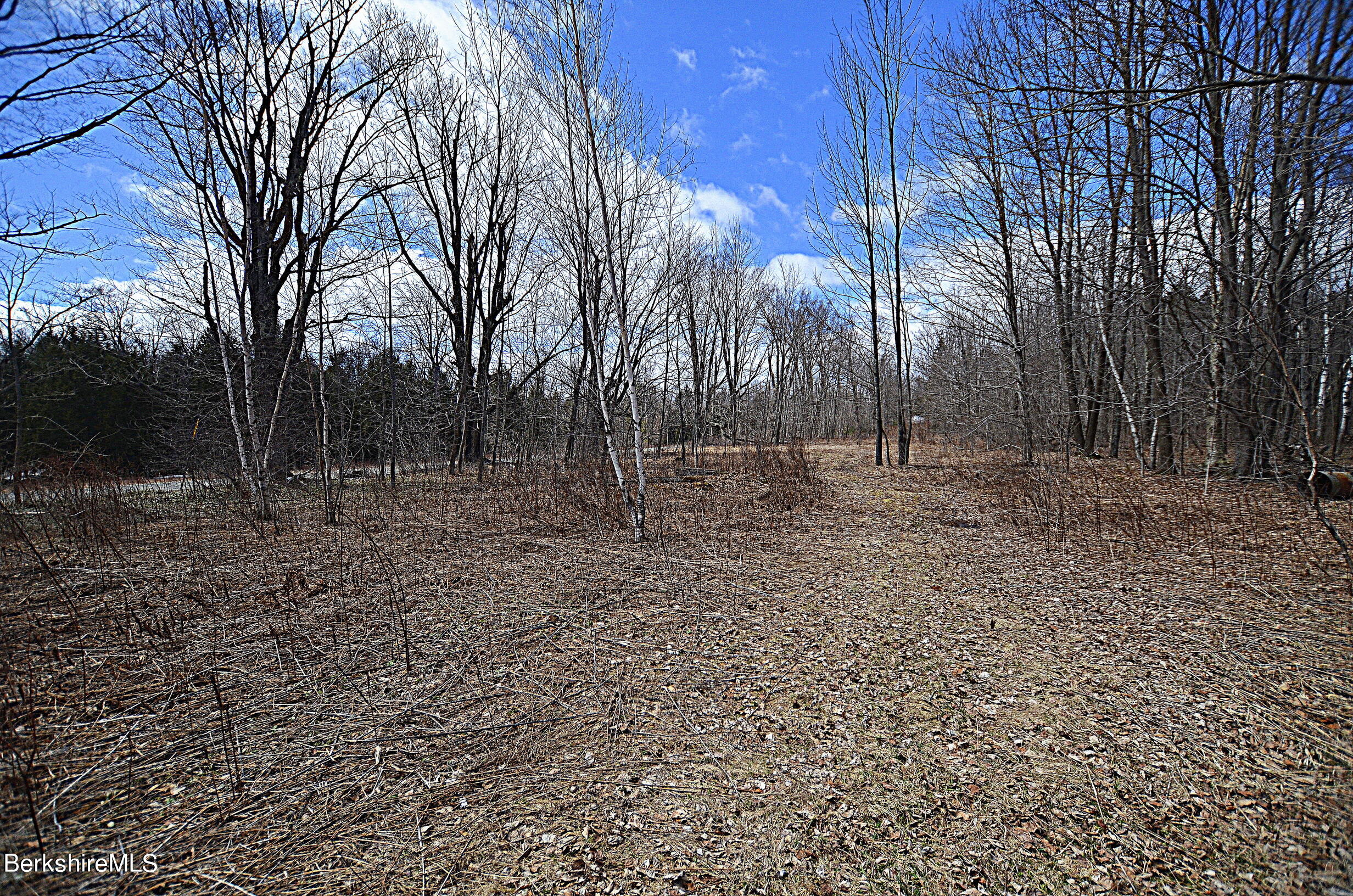 0 Lovers Lane Road Becket, MA 01223 - Photo 16 of 18 LOVERS LANE, WASHINGTON