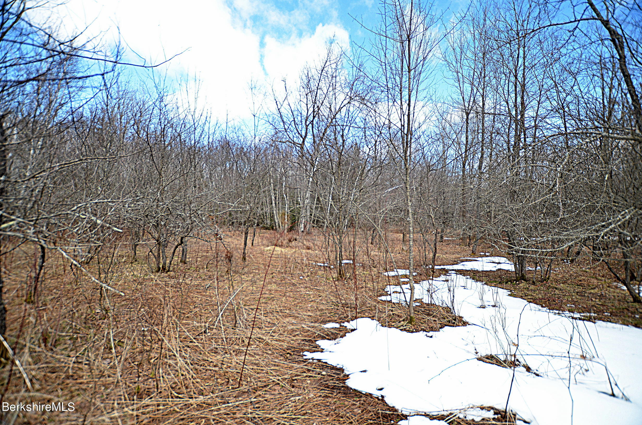 0 Lovers Lane Road Becket, MA 01223 - Photo 17 of 18 LOVERS LANE, WASHINGTON