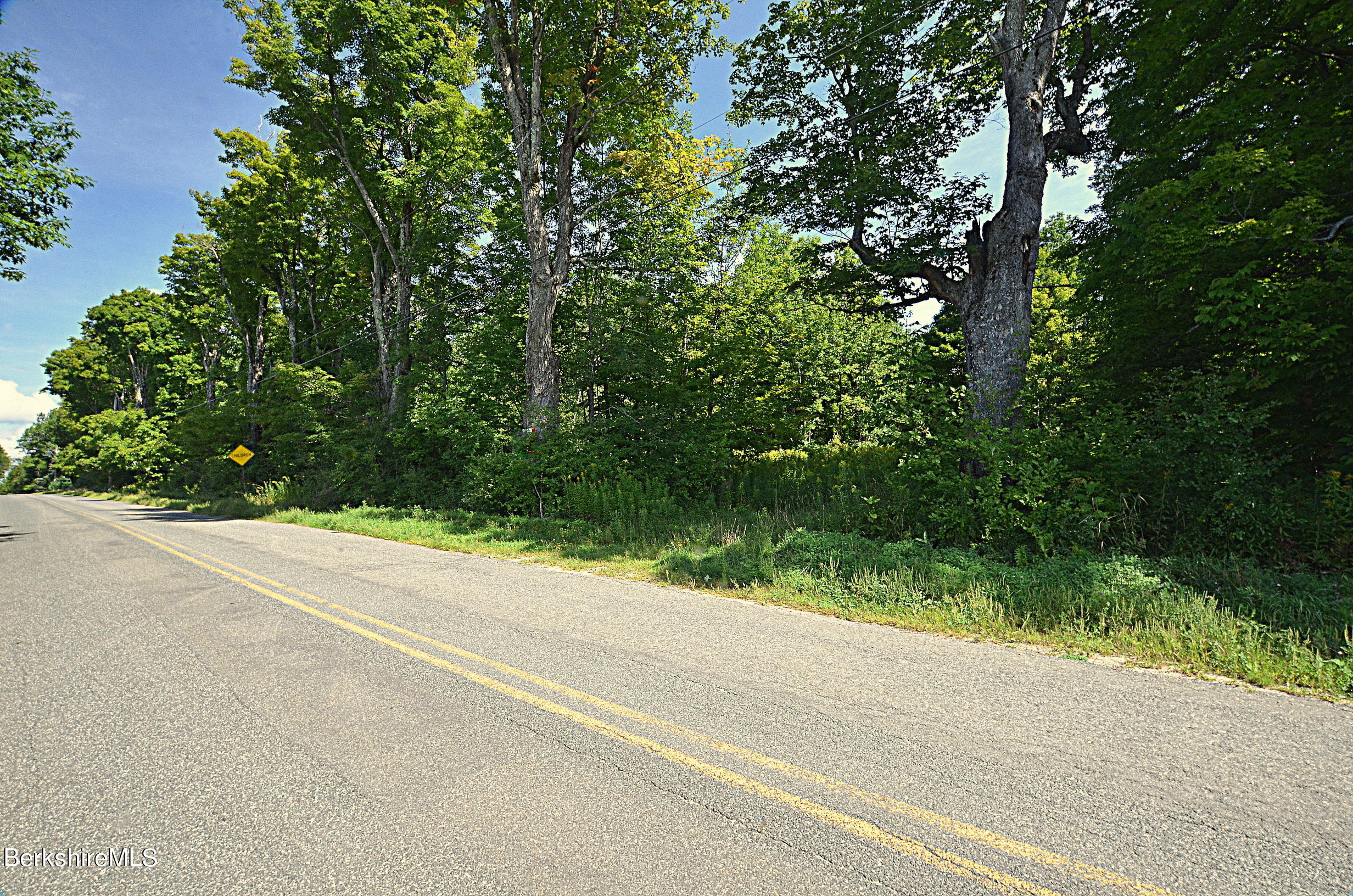 0 Lovers Lane Road Becket, MA 01223 - Photo 18 of 18 LOVERS LANE, WASHINGTON
