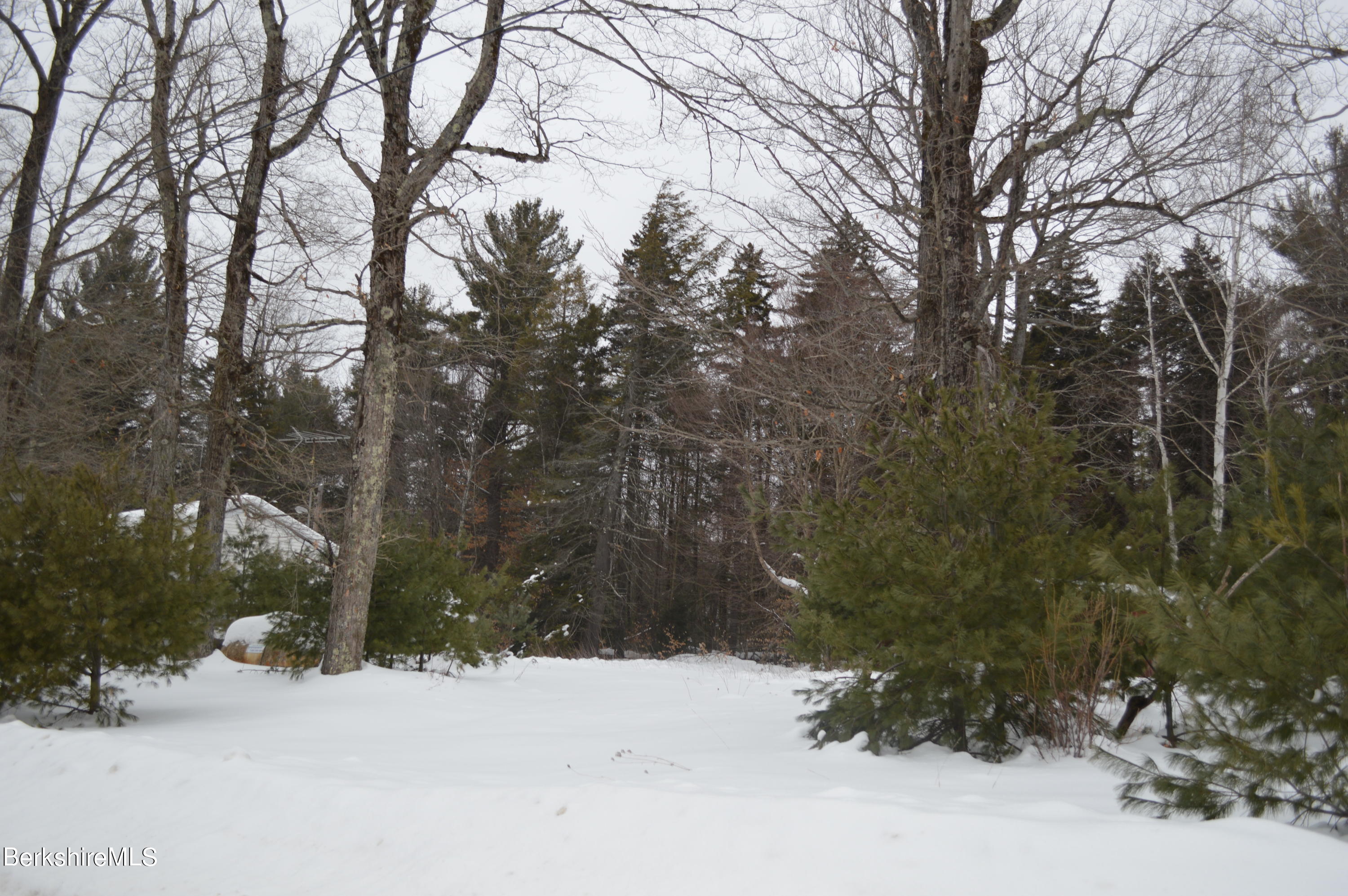 0 Lovers Lane Road Becket, MA 01223 - Photo 9 of 18 Open space
