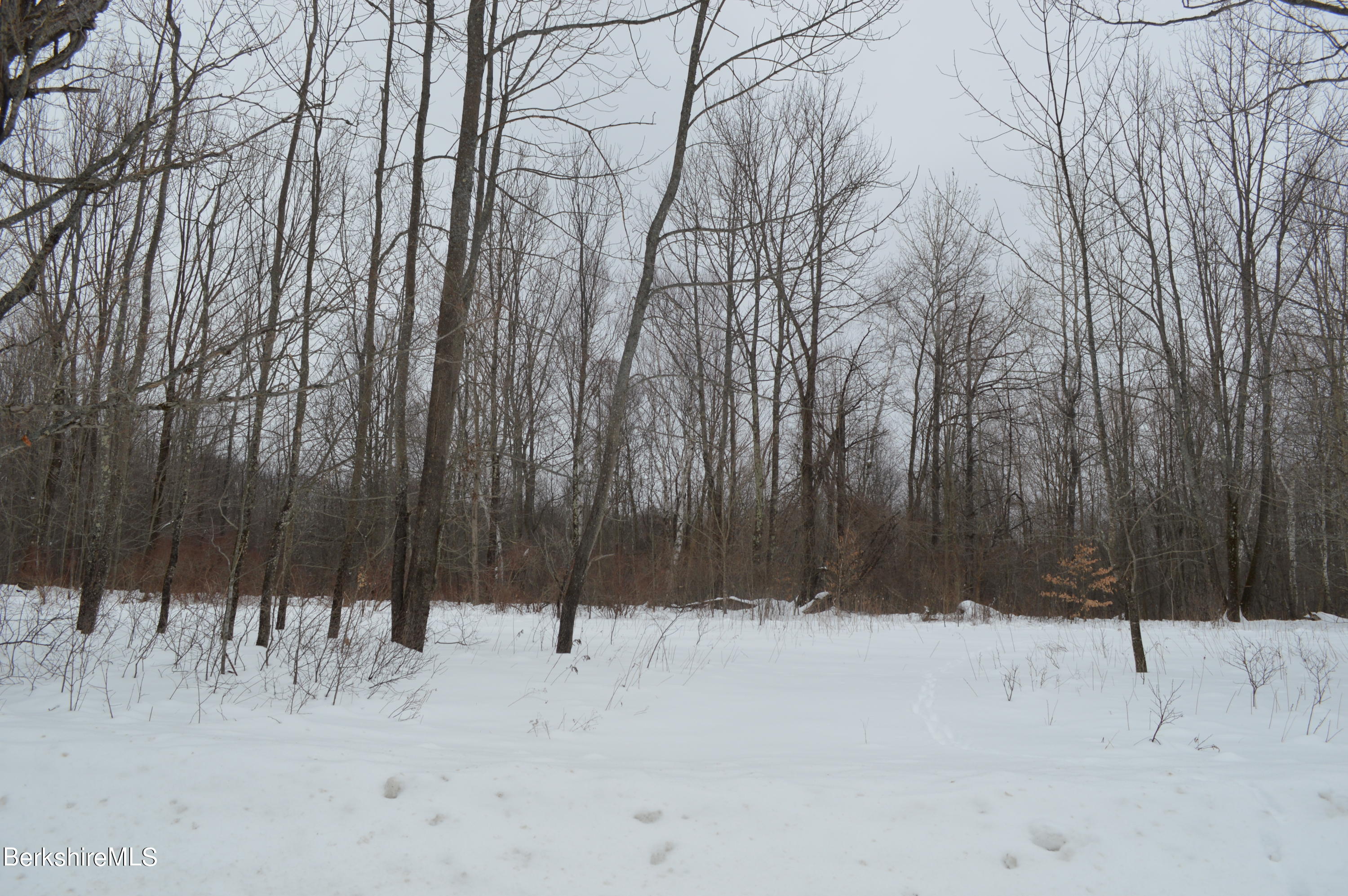 0 Lovers Lane Road Becket, MA 01223 - Photo 10 of 18 Some clearings
