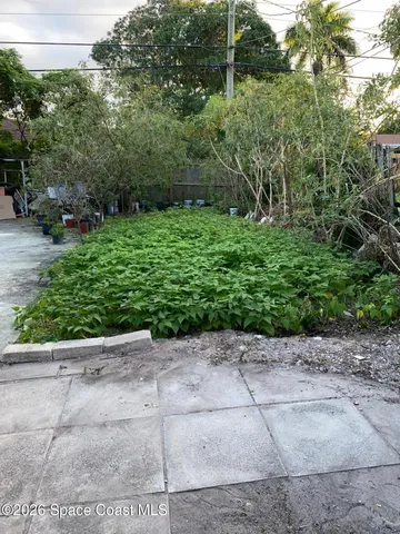 a view of garden with a pathway